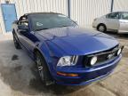 2005 FORD  MUSTANG