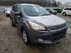 2013 FORD  ESCAPE