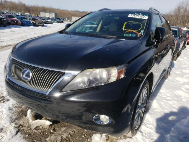 2010 LEXUS RX 450 JTJBC1BA0A2024216