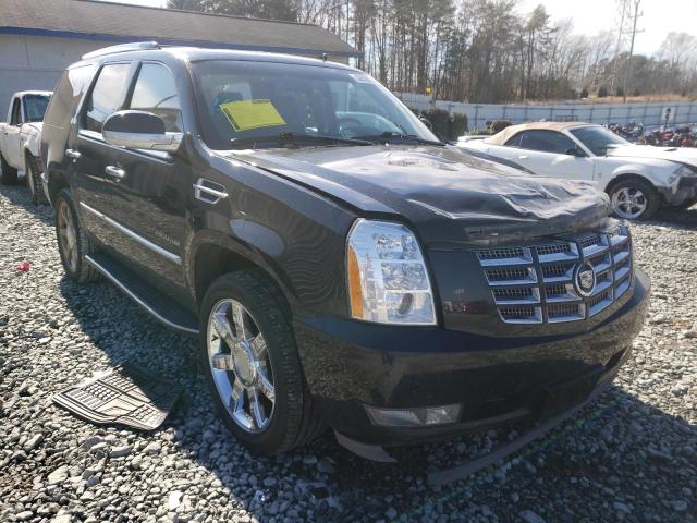 2011 Cadillac Escalade Luxury