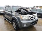 2009 HONDA  PILOT