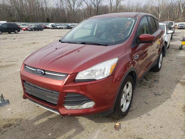 2015 FORD ESCAPE SE 1FMCU0GX5FUA30984