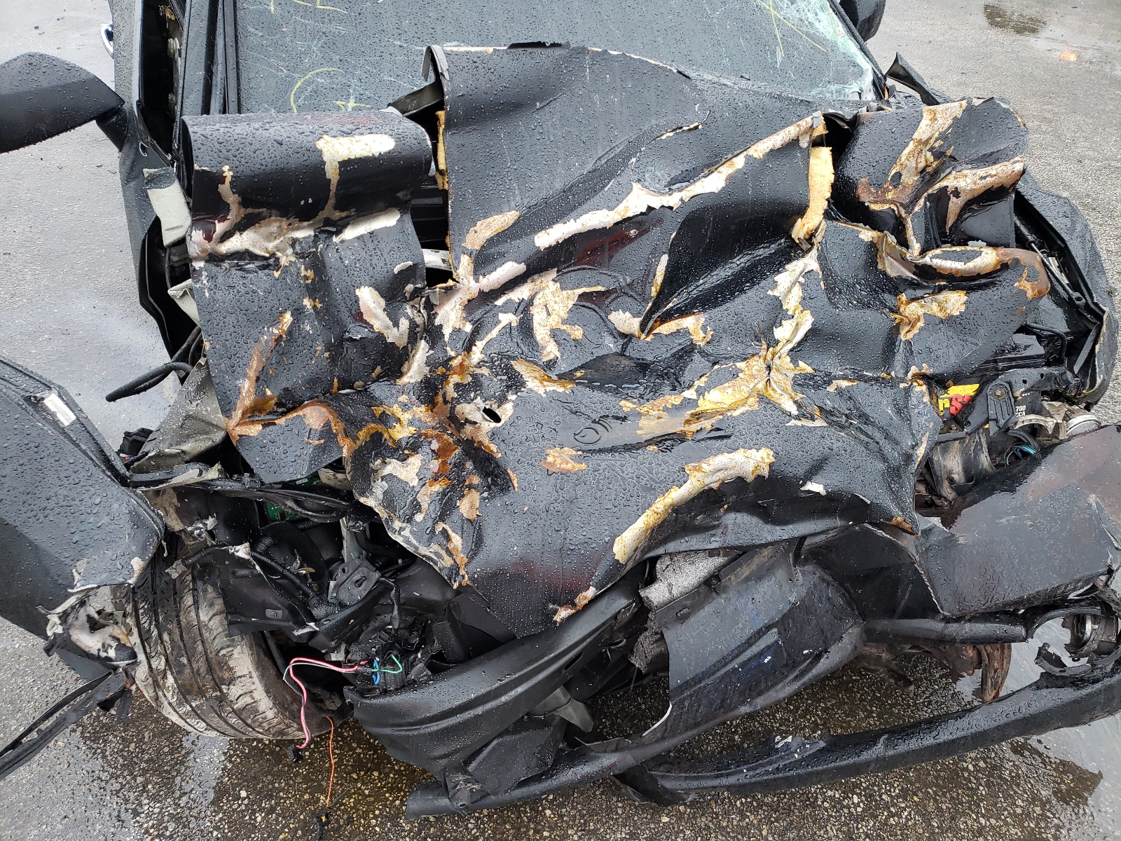 KMHHN65F33U010261 2003 Hyundai Tiburon Gt