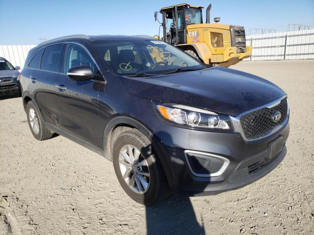 2016 KIA SORENTO LX 5XYPG4A33GG186289