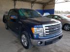 2013 FORD  F-150