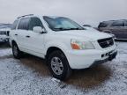 2005 HONDA  PILOT