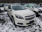 2013 CHEVROLET  MALIBU