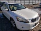 2010 HONDA  ACCORD