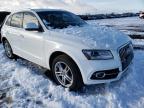 2013 AUDI  Q5