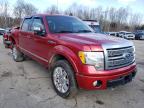 2010 FORD  F-150