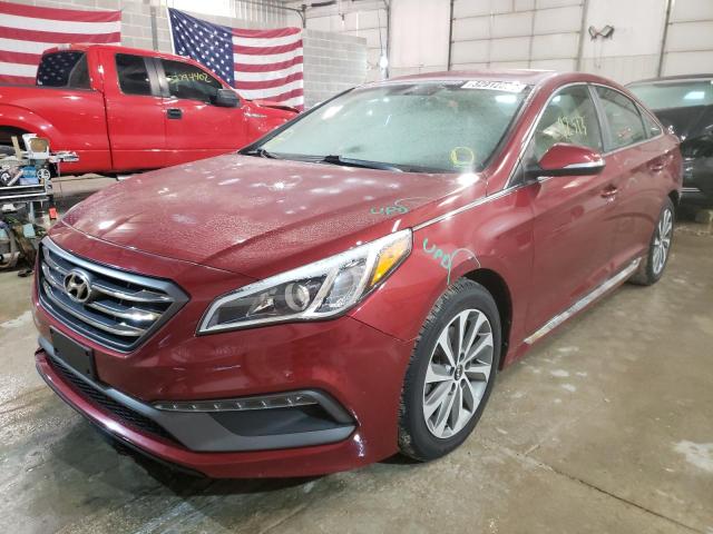 5NPE34AF8FH097175 Hyundai Sonata Spo 2015. Фото: 1