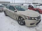 2013 HONDA  ACCORD