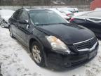 2009 NISSAN  ALTIMA