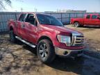 2009 FORD  F-150