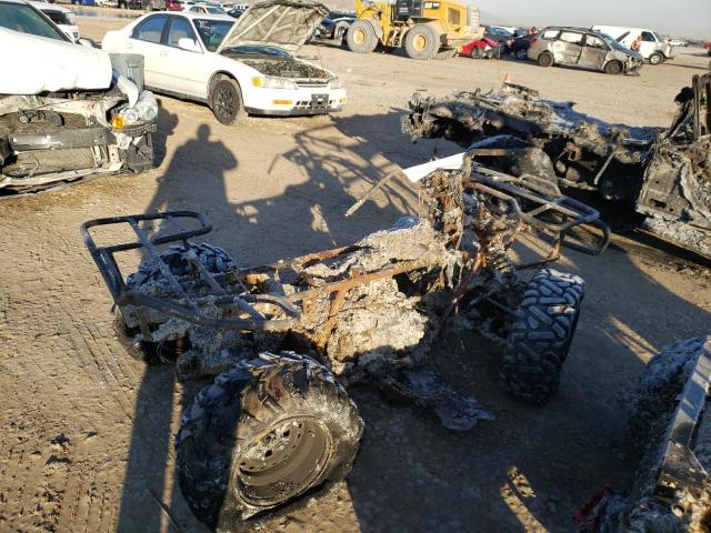 2007 HONDA TRX500 FM 1HFTE315774202062