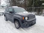 2017 JEEP  RENEGADE