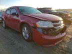 2013 DODGE  AVENGER