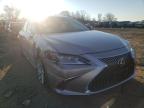 2019 LEXUS  ES350