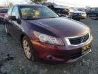 2010 HONDA  ACCORD