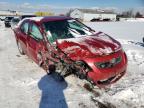 2009 TOYOTA  COROLLA