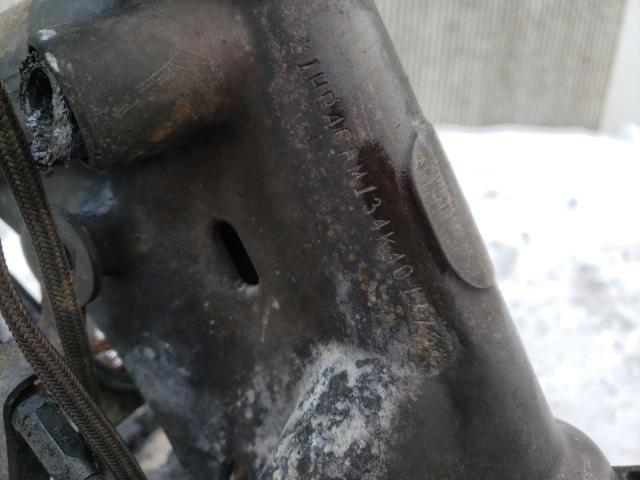 2004 HARLEY-DAVIDSON XL883 1HD4CAM134K401875