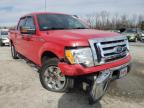 2009 FORD  F-150