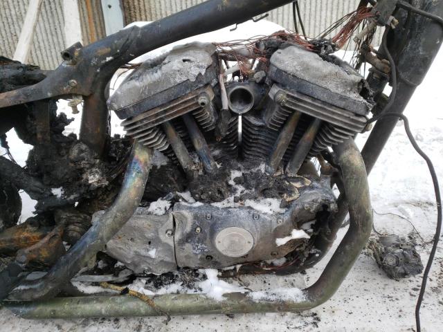 2004 HARLEY-DAVIDSON XL883 1HD4CAM134K401875