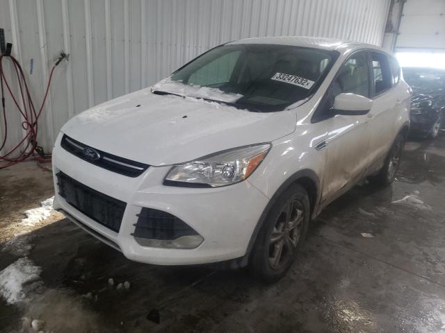 2016 FORD ESCAPE SE 1FMCU0G75GUC40227