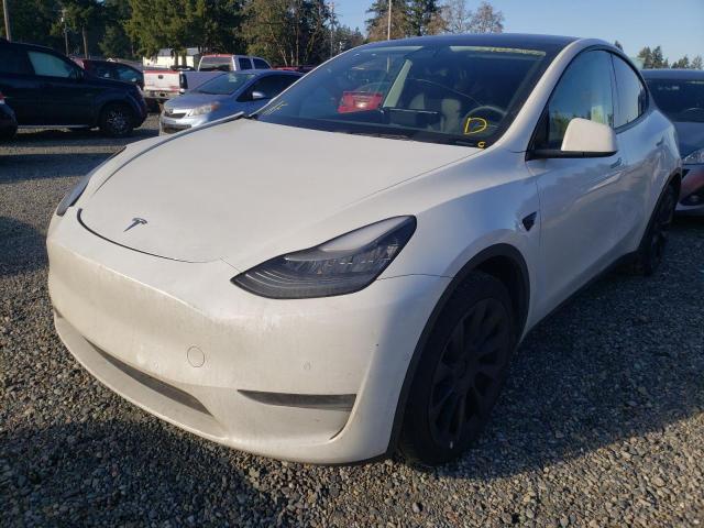 2020 TESLA MODEL Y 5YJYGDEE9LF029691
