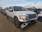 FORD F-150 2013 foto