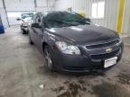 2010 CHEVROLET  MALIBU