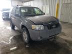 2006 FORD  ESCAPE