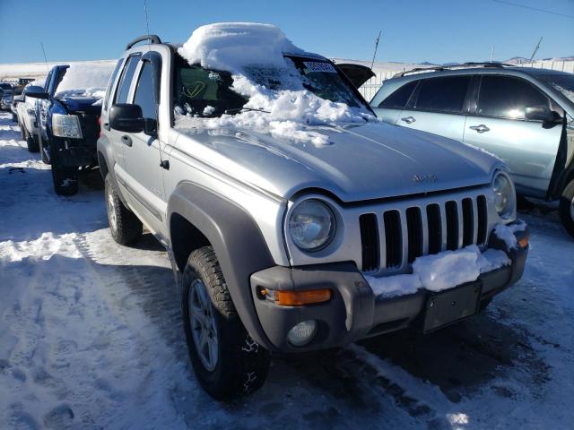 Jeep Liberty salvage cars for sale: 2004 Jeep Liberty