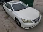 2010 LEXUS  ES350