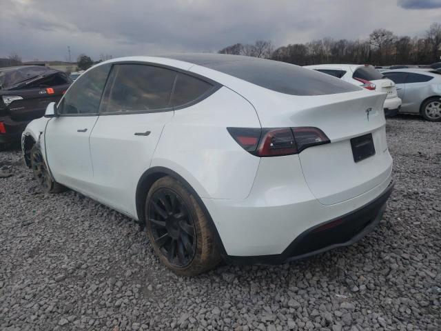 2021 TESLA MODEL Y 5YJYGAEE4MF257081