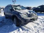 2007 LEXUS  RX400