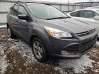 2014 FORD  ESCAPE