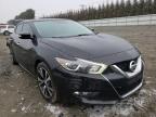 2017 NISSAN  MAXIMA