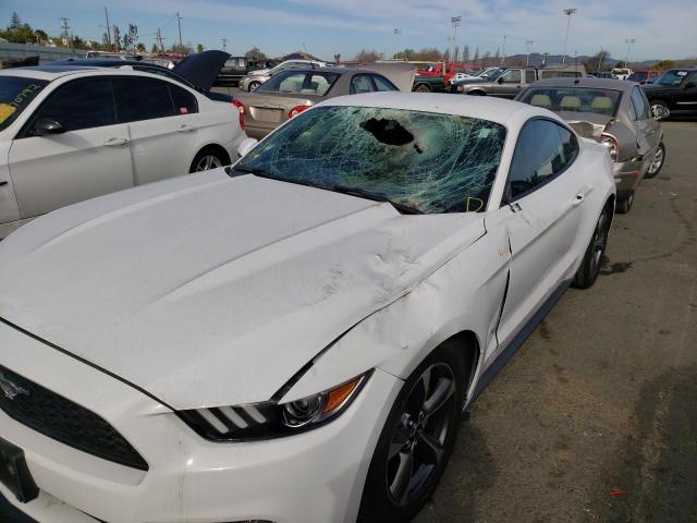 2016 FORD MUSTANG 1FA6P8AMXG5318006