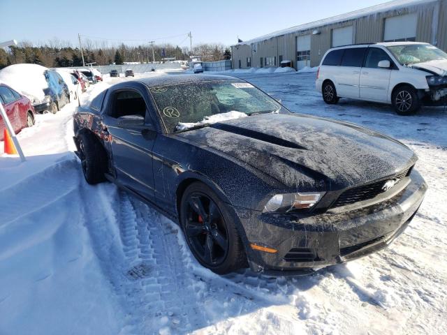 2010 Ford Mustang for sale in Angola, NY