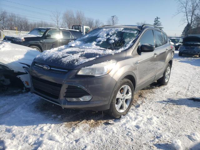 1FMCU0GX6DUD87782 Ford Escape Se 2013. Фото: 1
