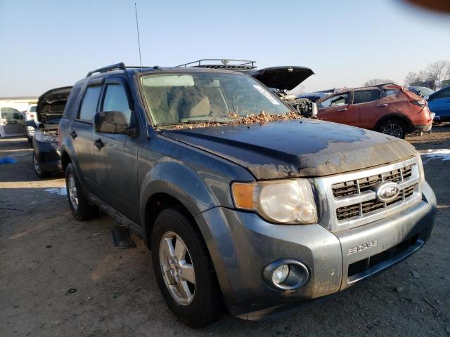 Salvage cars for sale from Copart Indianapolis, IN: 2010 Ford Escape XLT