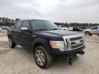 2009 FORD  F-150