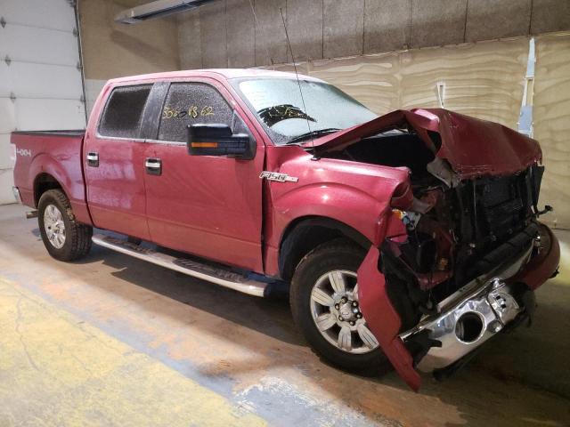 Vin: 1ftew1e88afd74475, lot: 33668862, ford f-150 supercrew 2010 img_1