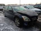 2005 NISSAN  MAXIMA