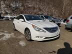 2013 HYUNDAI  SONATA