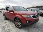 2011 KIA  SORENTO