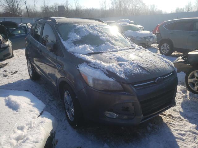 1FMCU0GX6DUD87782 Ford Escape Se 2013