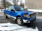 2010 FORD  F-150