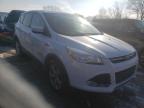 2014 FORD  ESCAPE